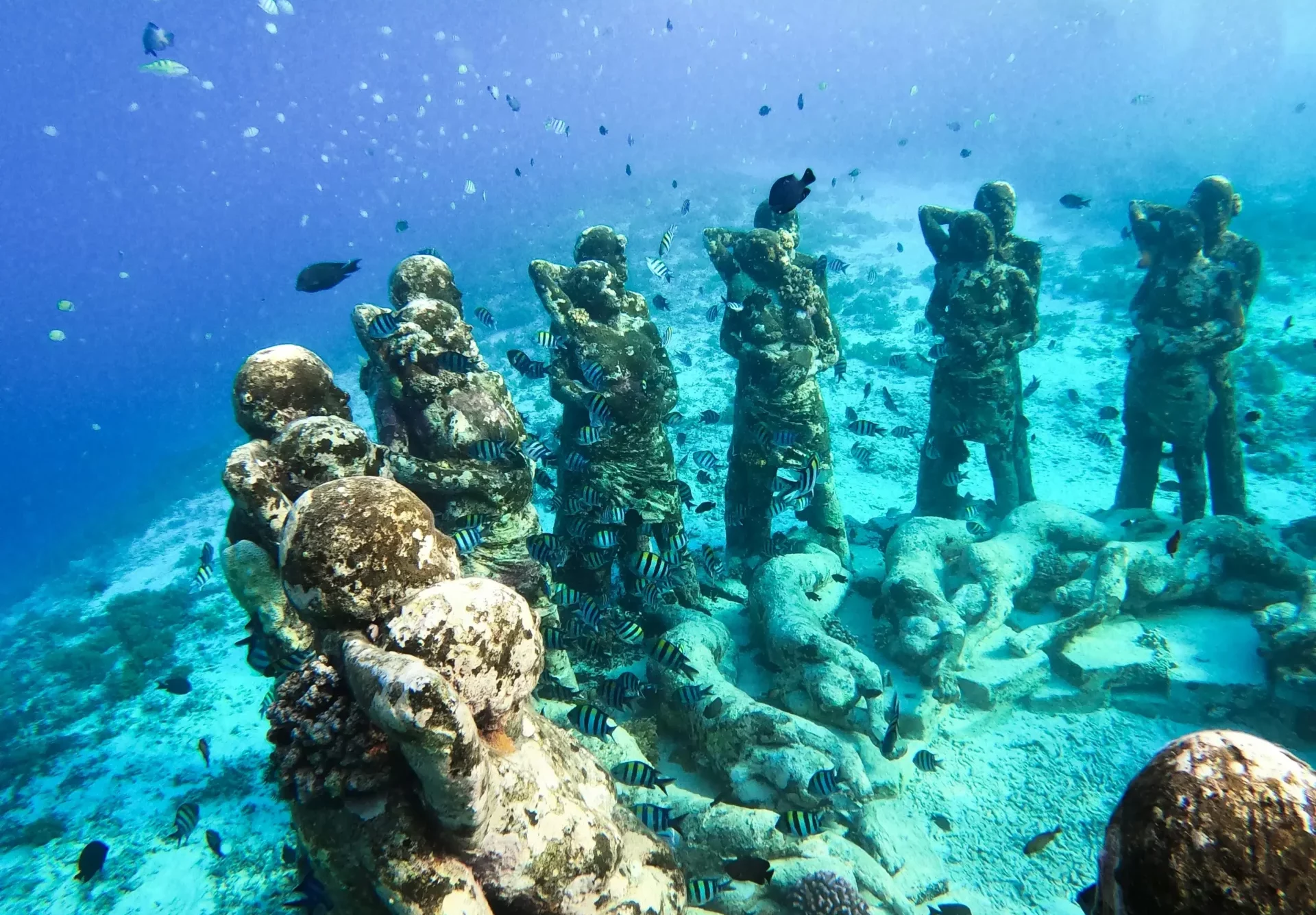 Statues sous-marines recouvertes d’algues et de corail formant un cercle au fond de l’océan, entourées de bancs de poissons tropicaux dans une eau turquoise.